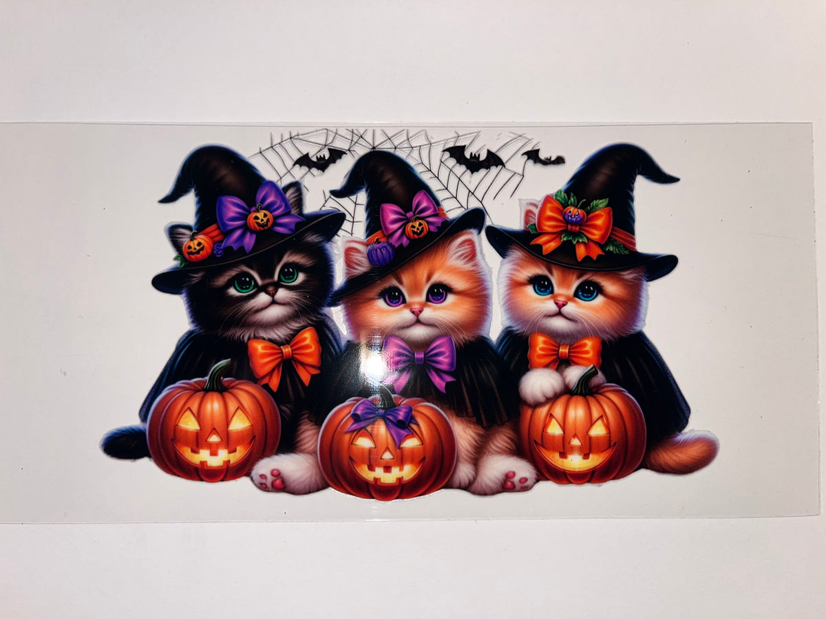 Kitties - Halloween
