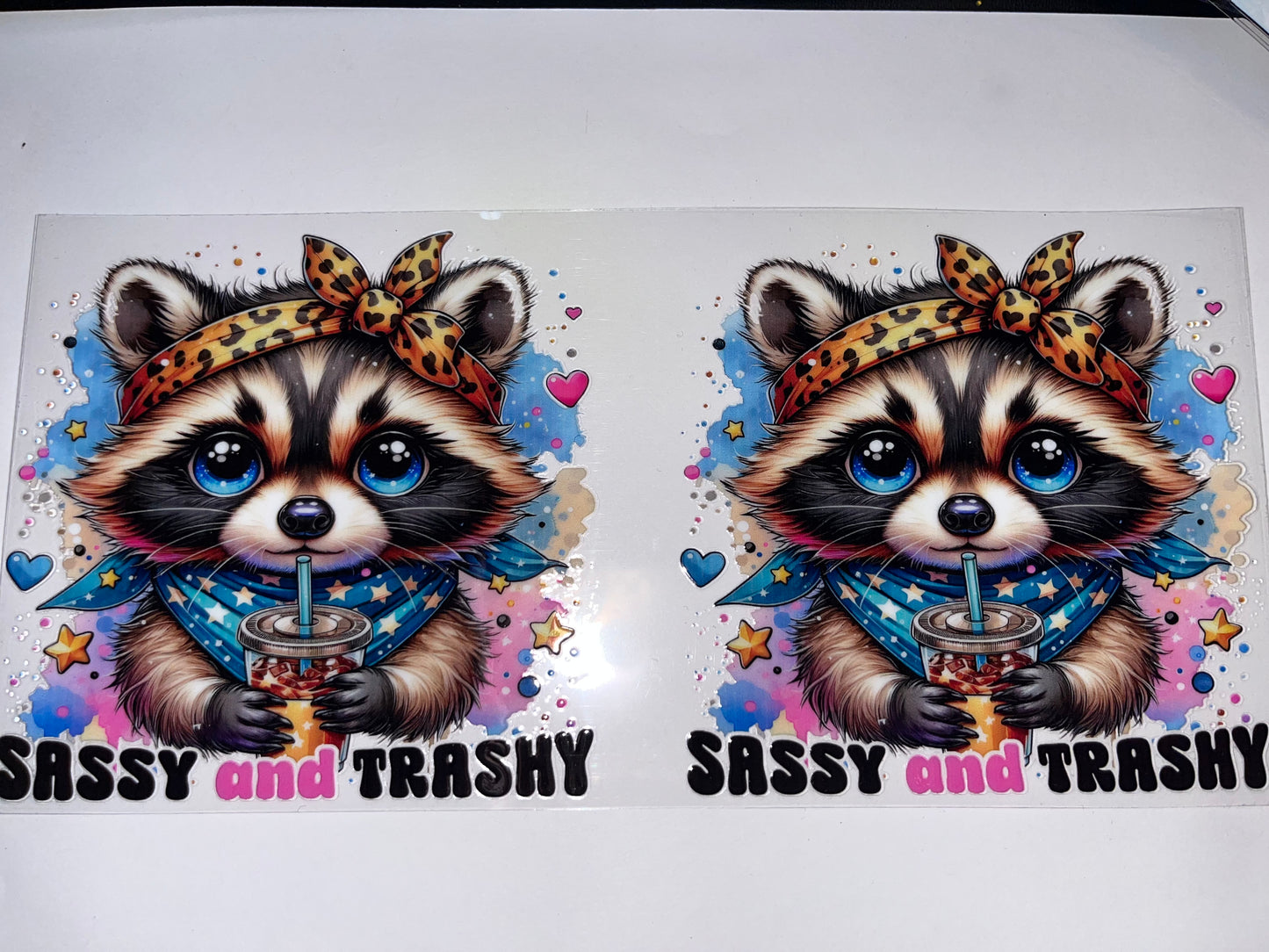 Raccoon - Sassy & Trashy