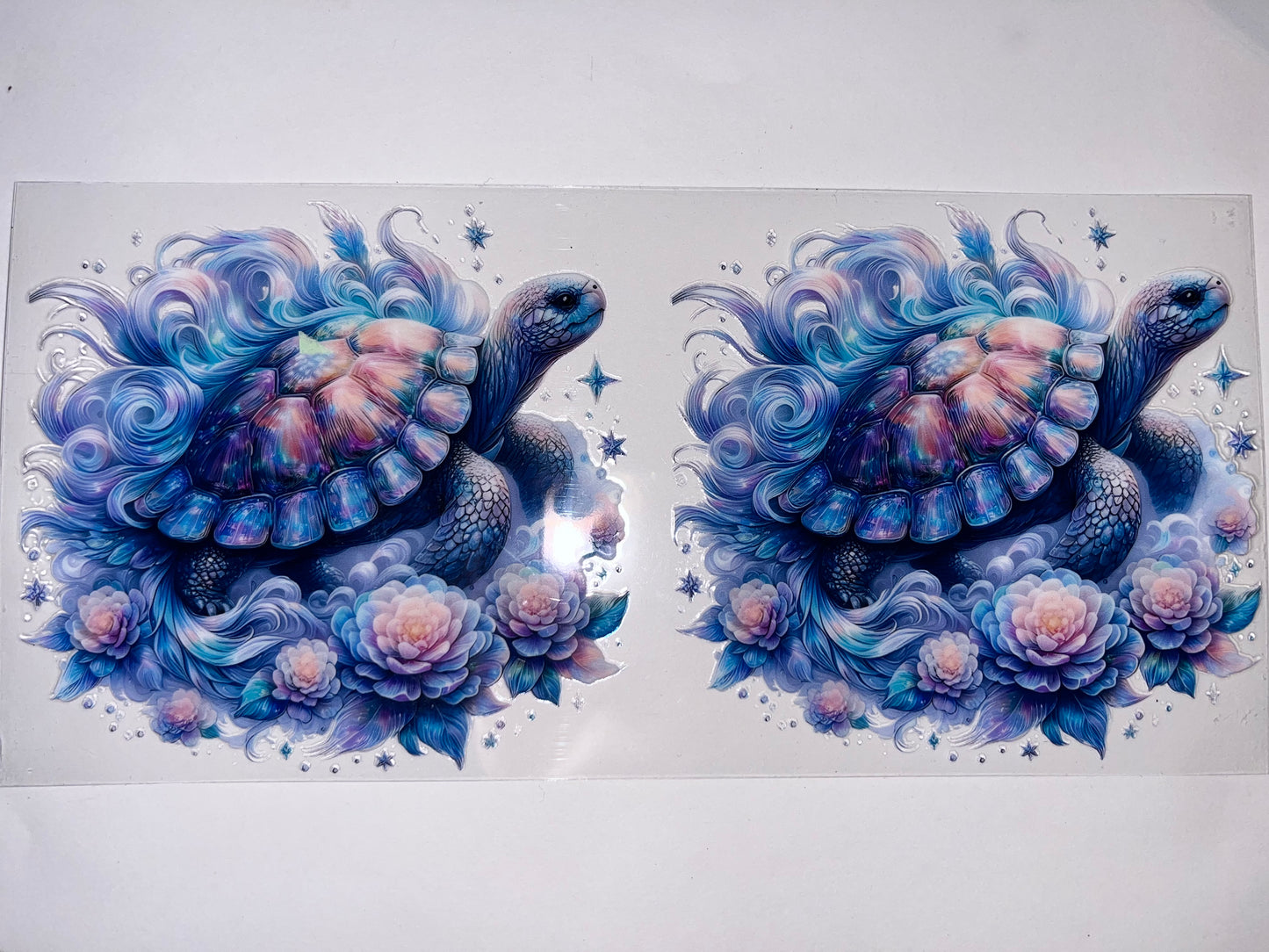Sea Turtle Blue