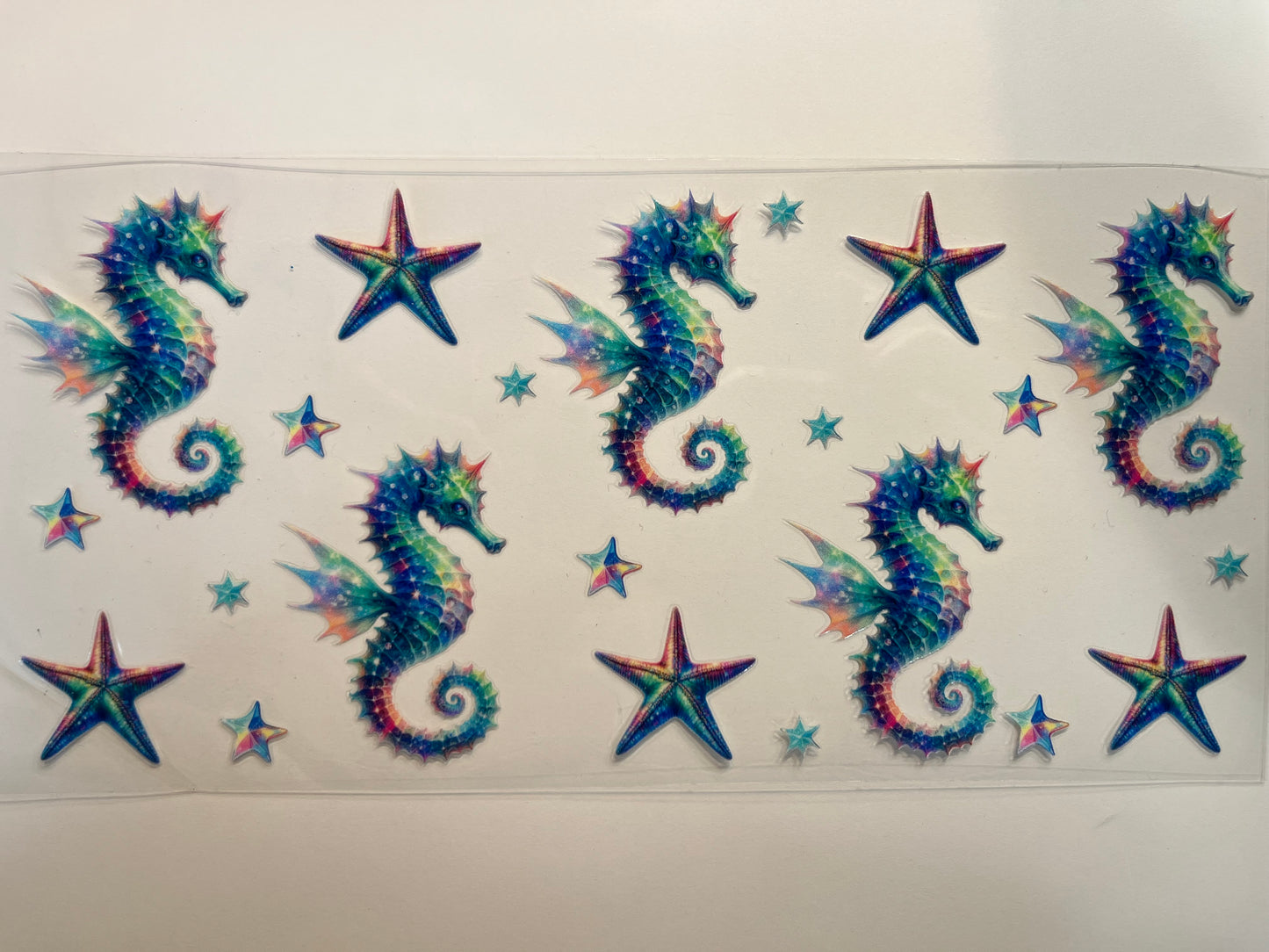 Seahorses & Starfish