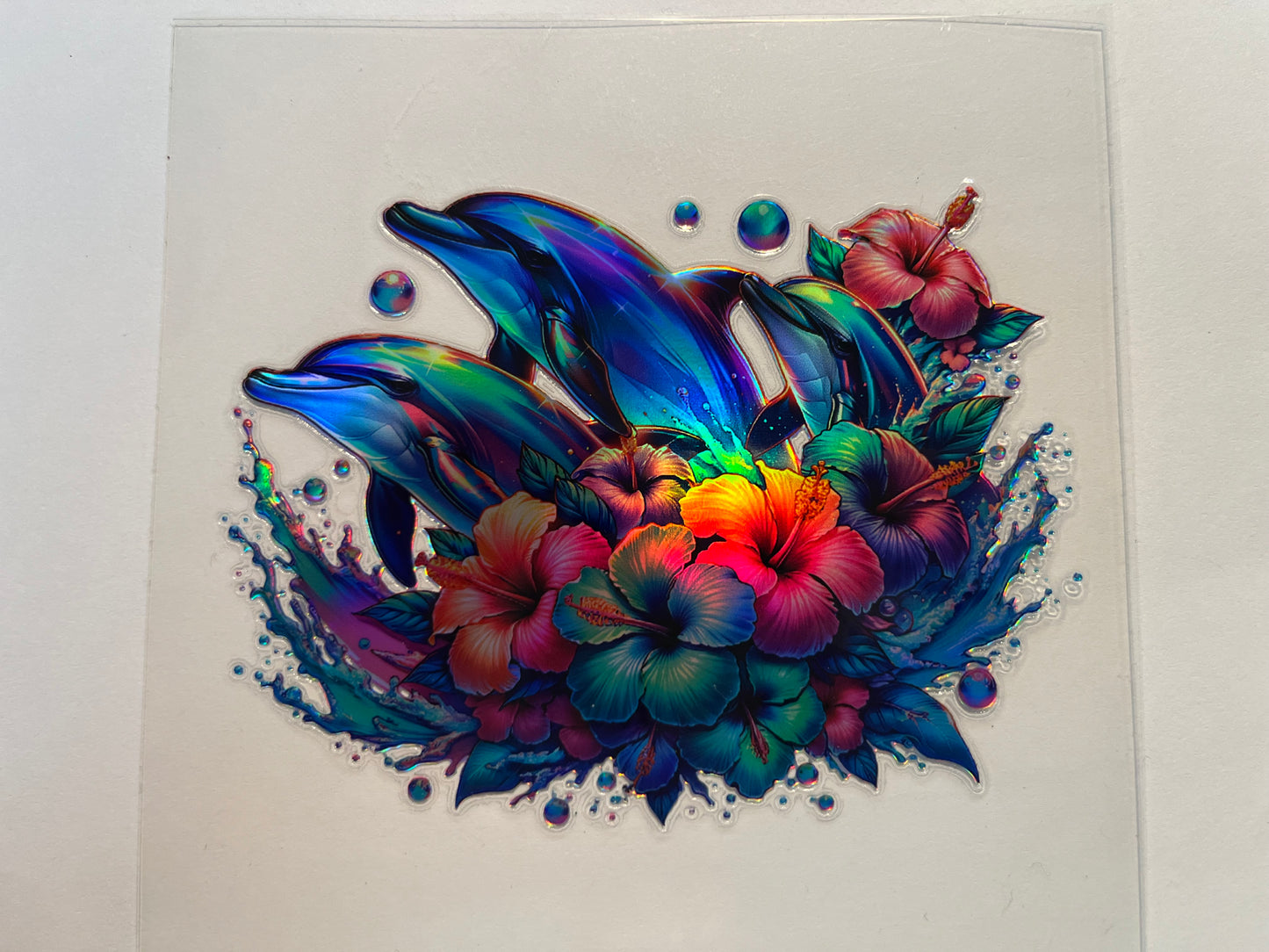 Holographic Dolphins