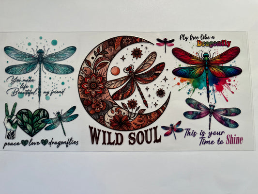 Dragonflies