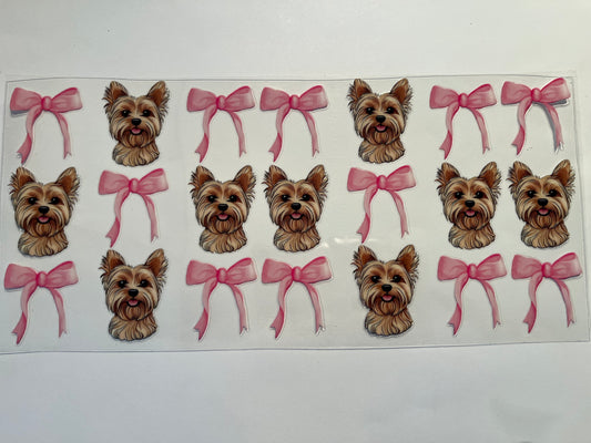 Yorki Dog - Animals