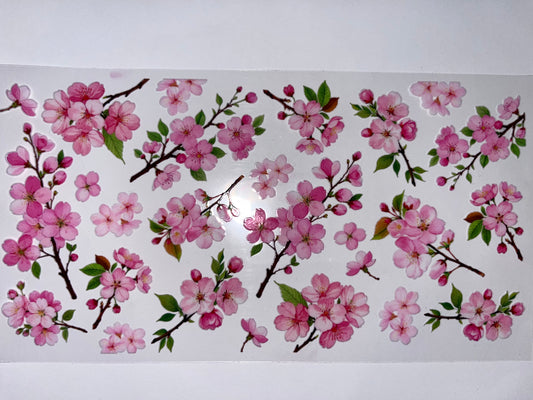 Cherry Blossoms