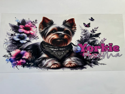 Yorki Dog - Animals