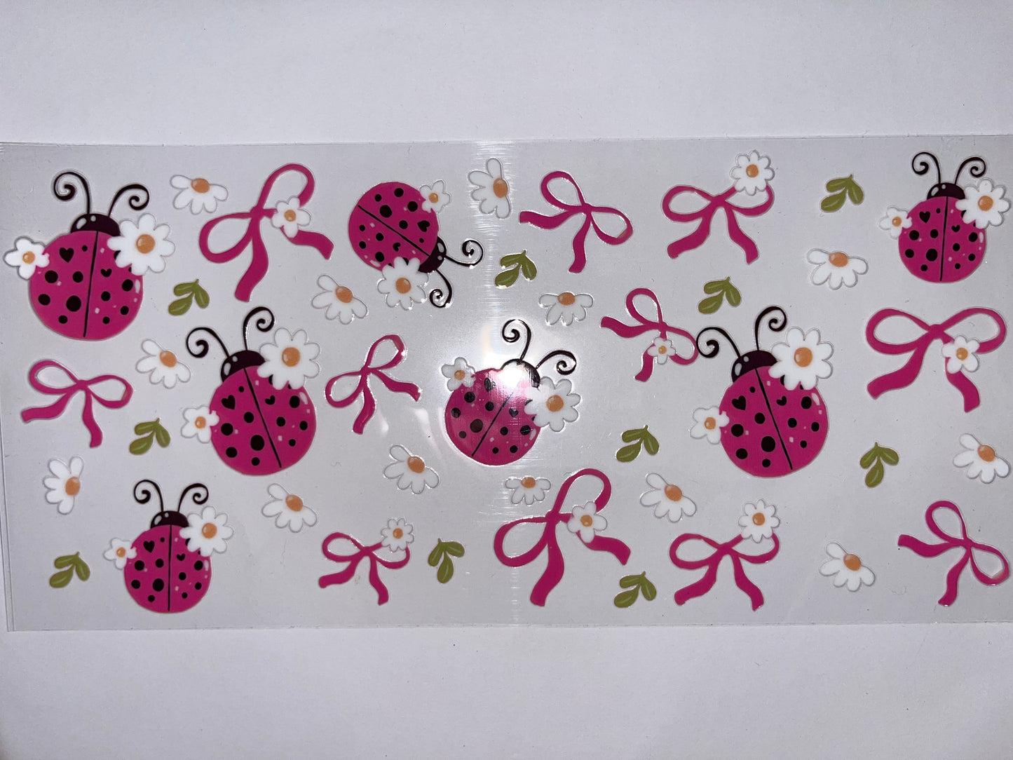 Ladybugs