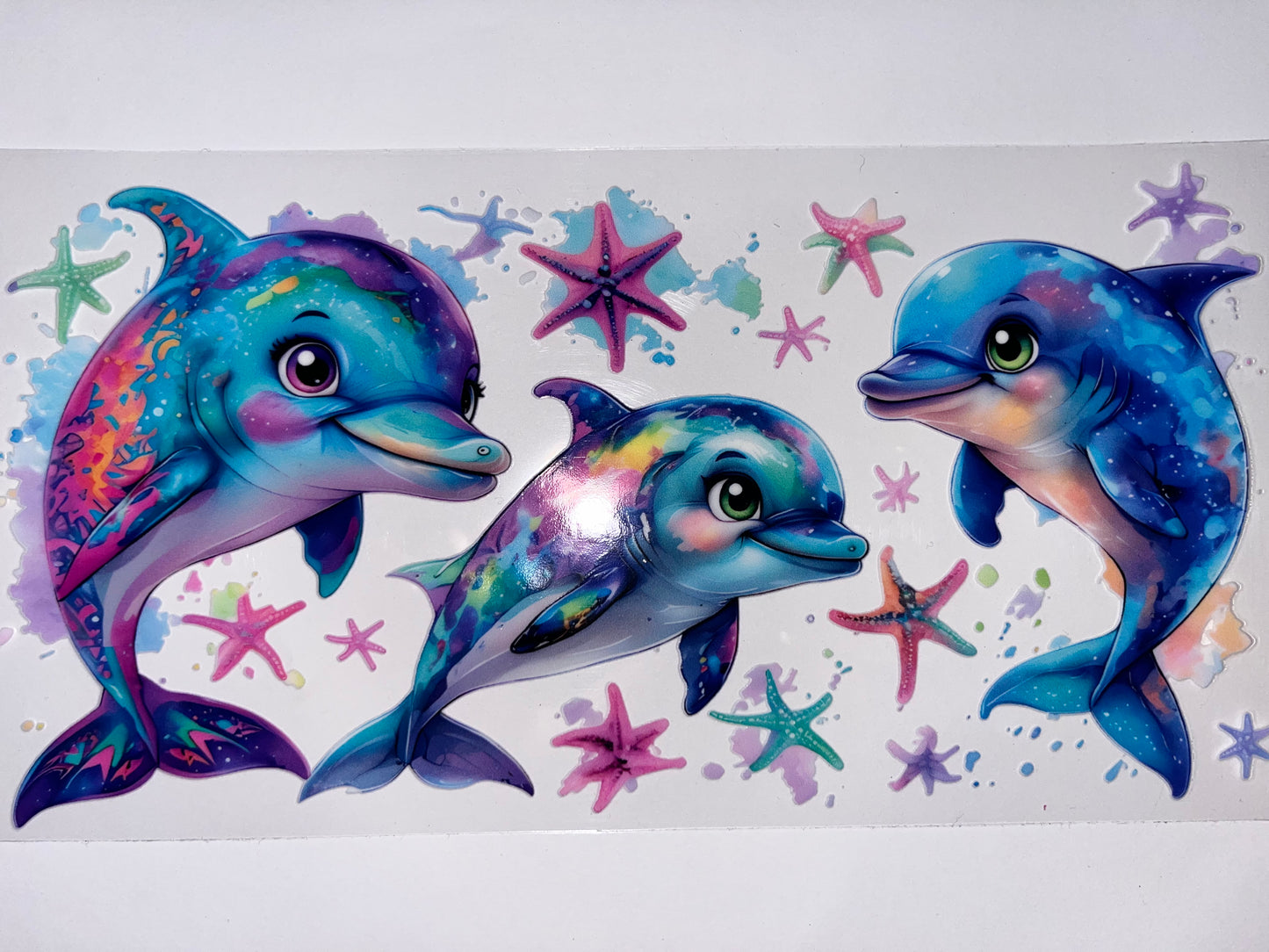 Dolphins