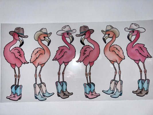 Western Flamingos