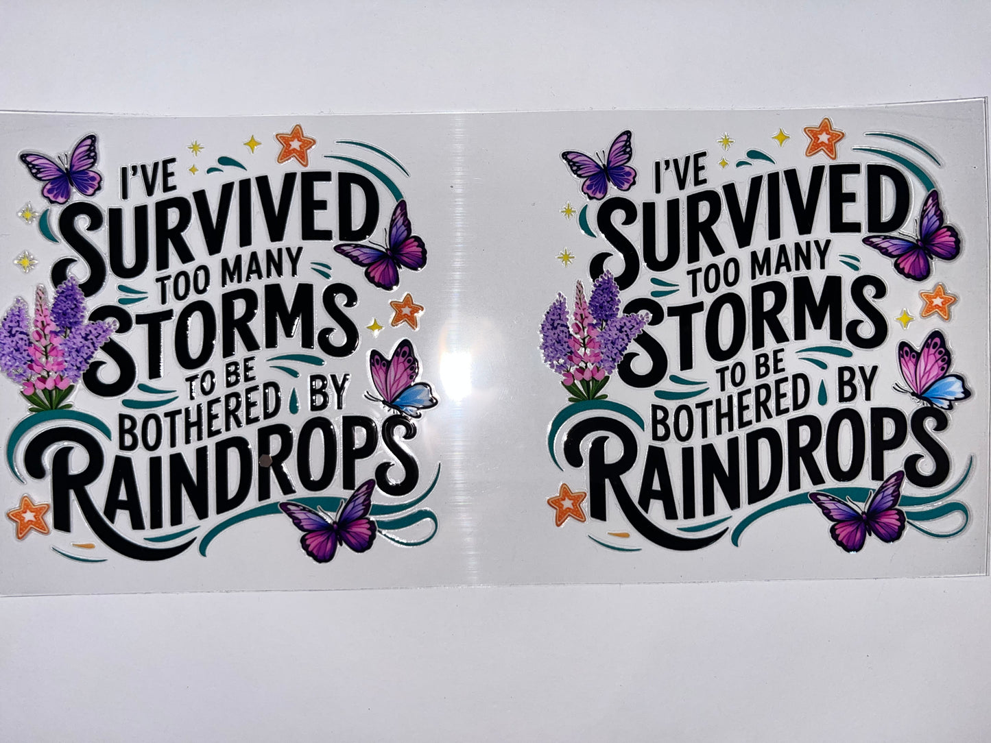 Survived Too Many Storms