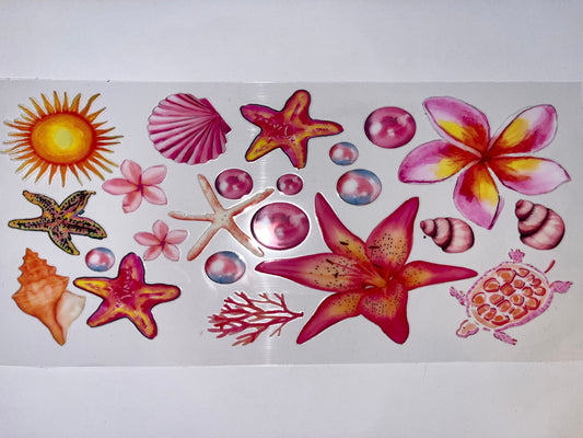 Shells Pearls Starfish