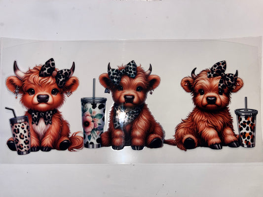 Highland Cow with Leopard Bows & Drinks - Animals