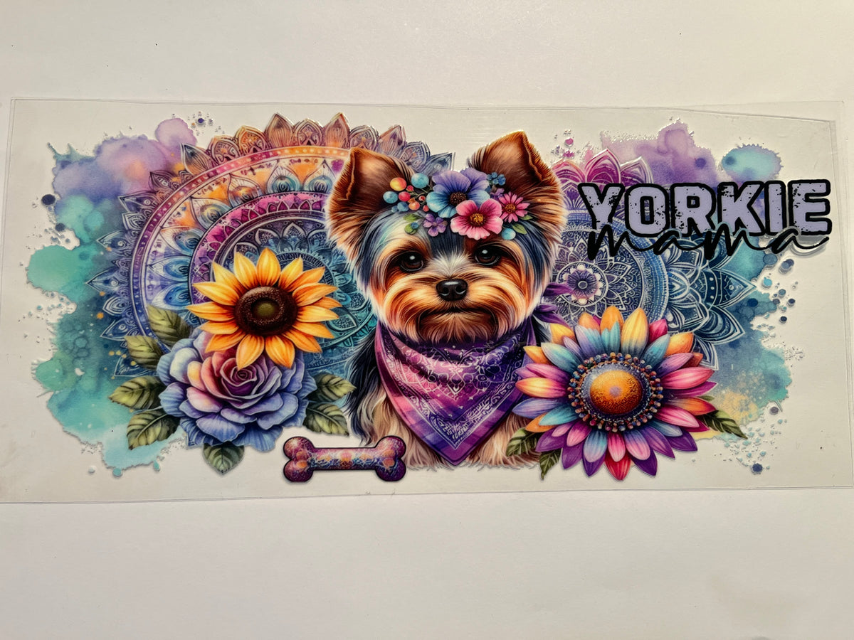 Yorki Dog - Animals