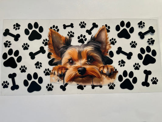 Yorki Dog - Animals