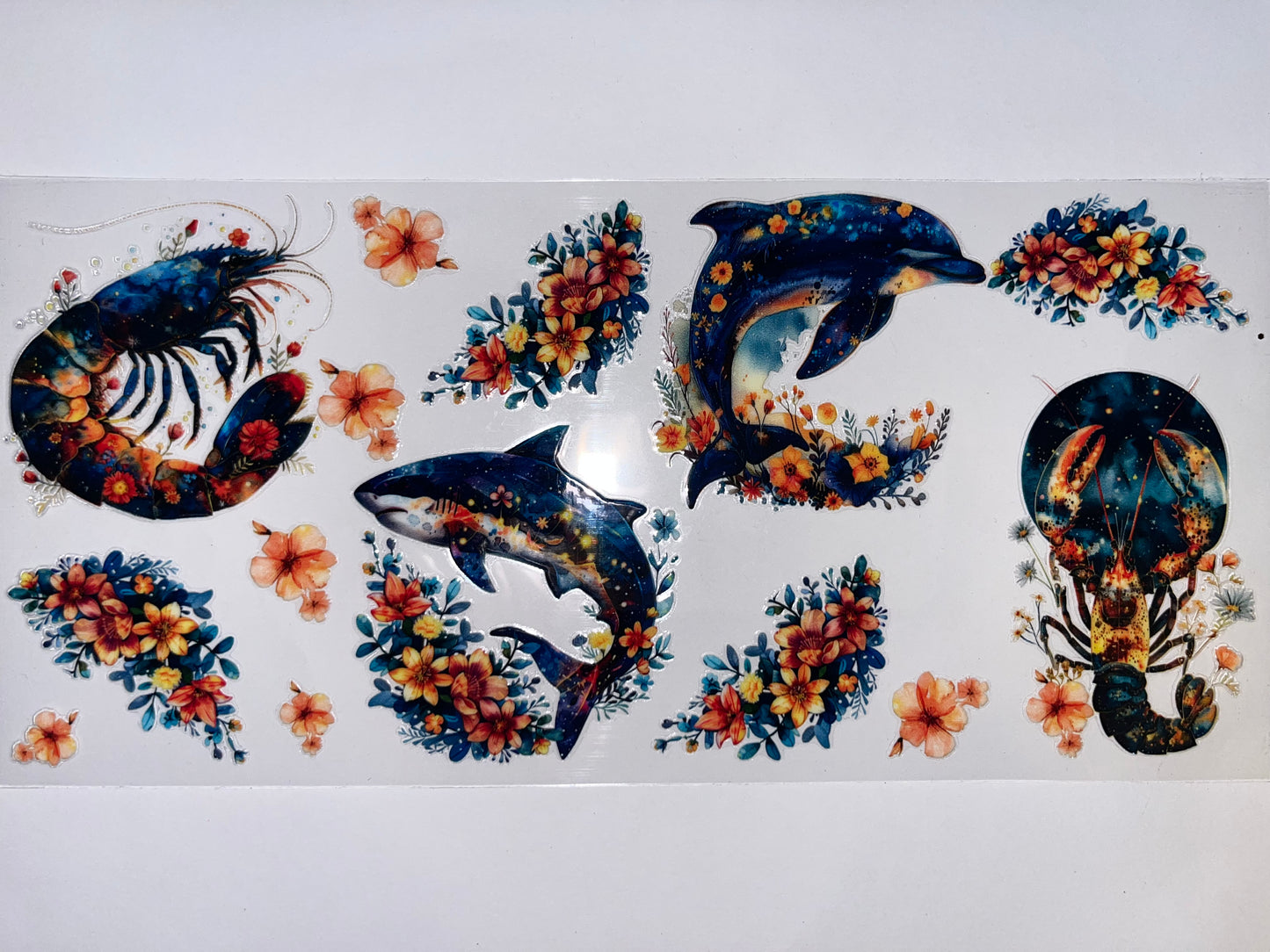 Ocean Life