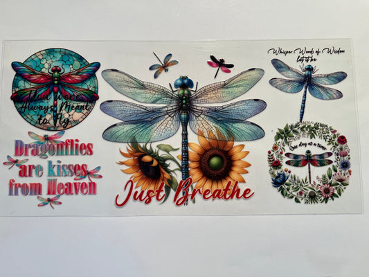 Dragonflies