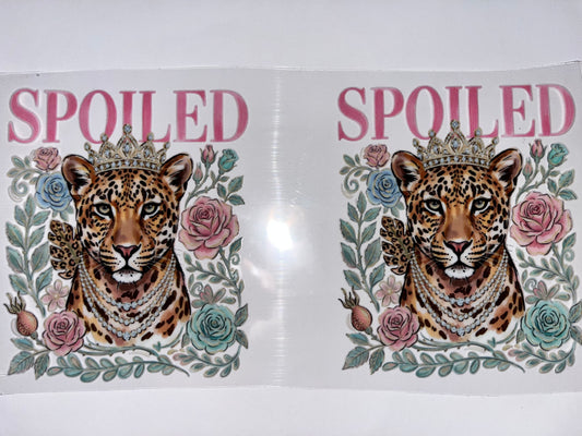 Spoiled Leopard