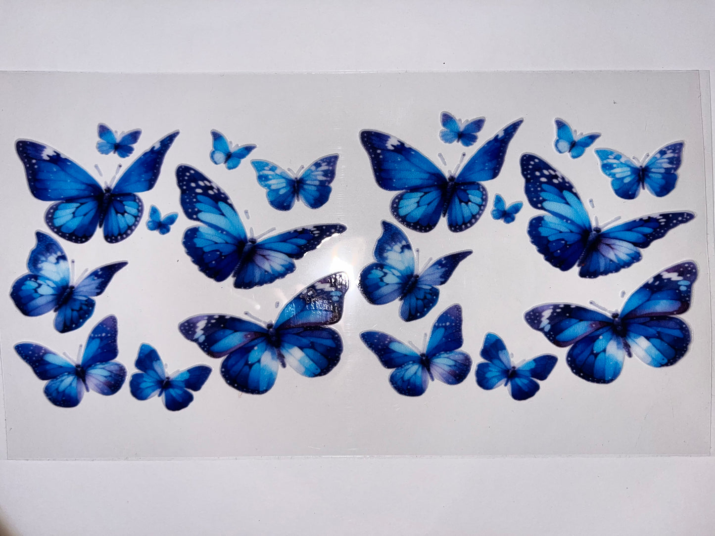 Blue Butterflies