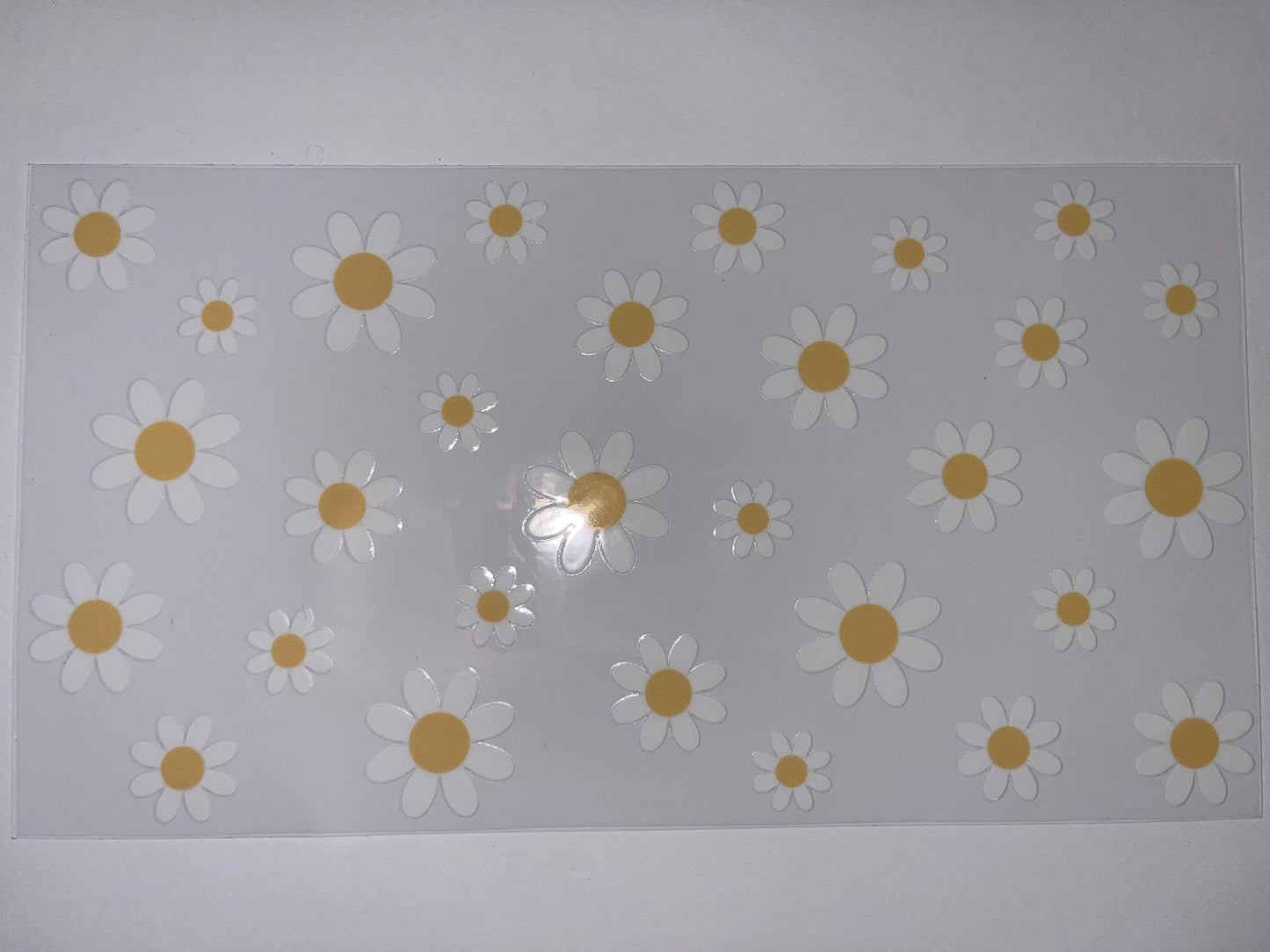 Daisy's