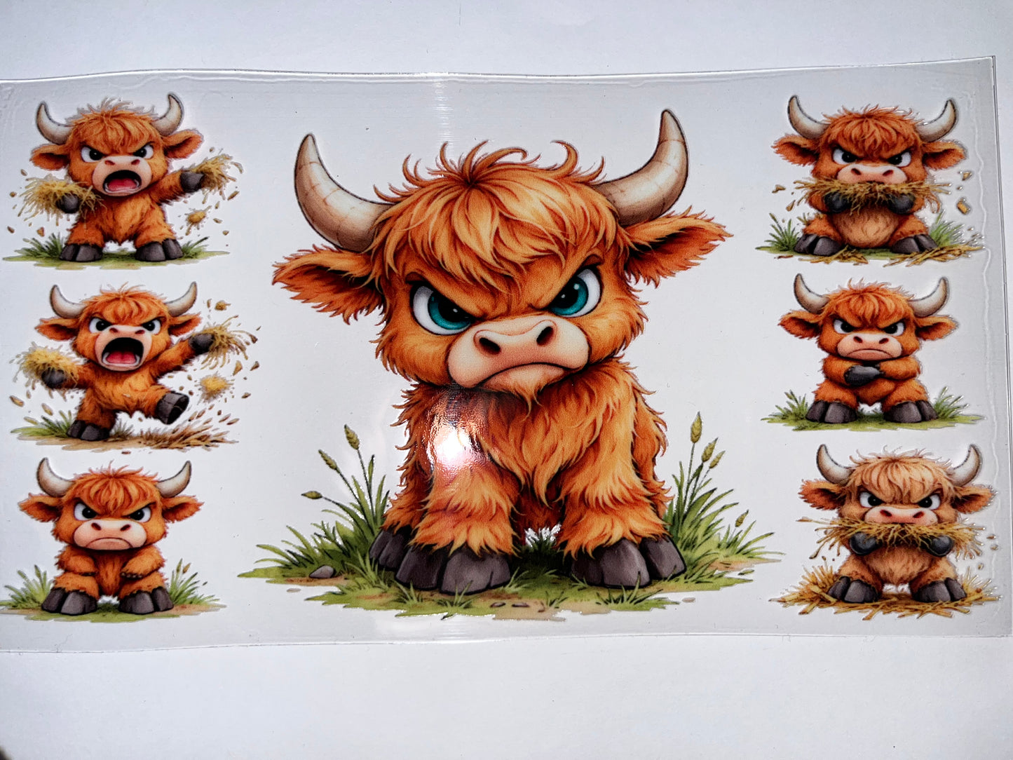 Angry Bull