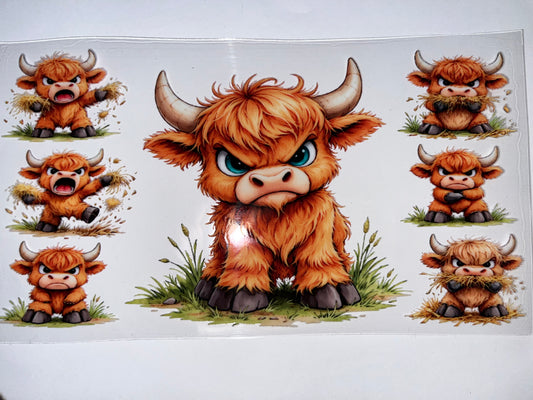 Angry Bull