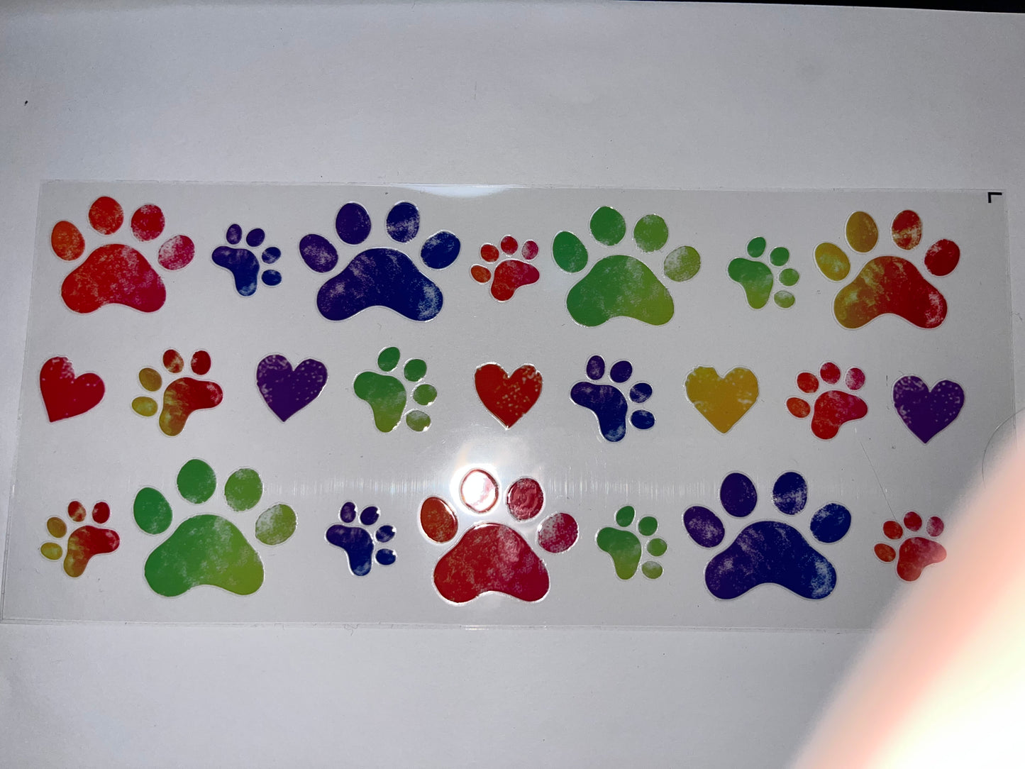 Rainbow Paw Prints