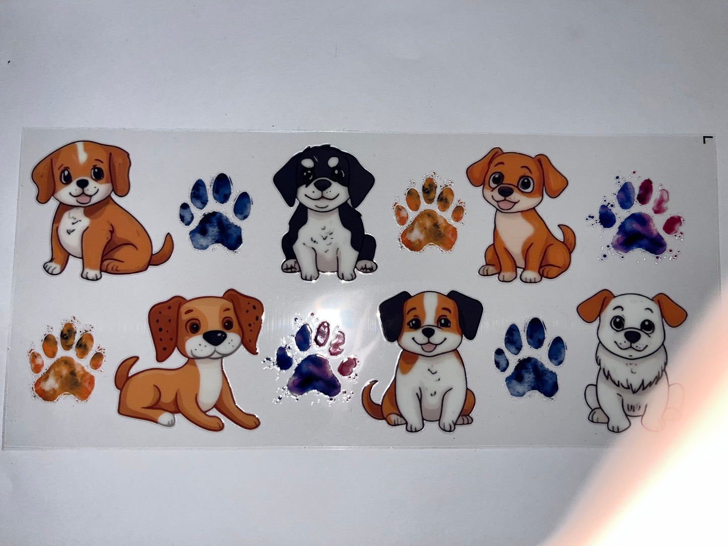 Puppies & Prints