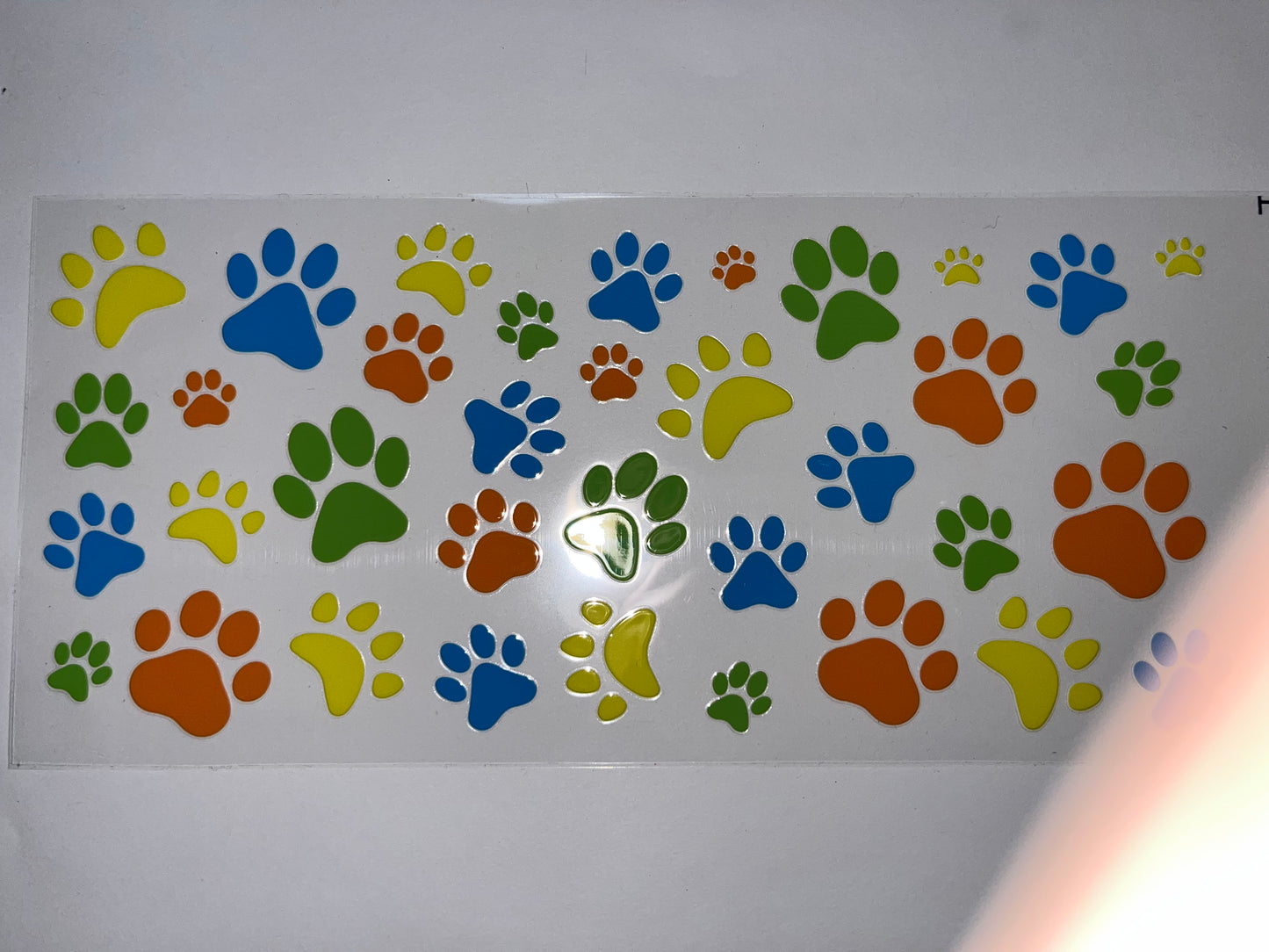 Colorful Paw Prints