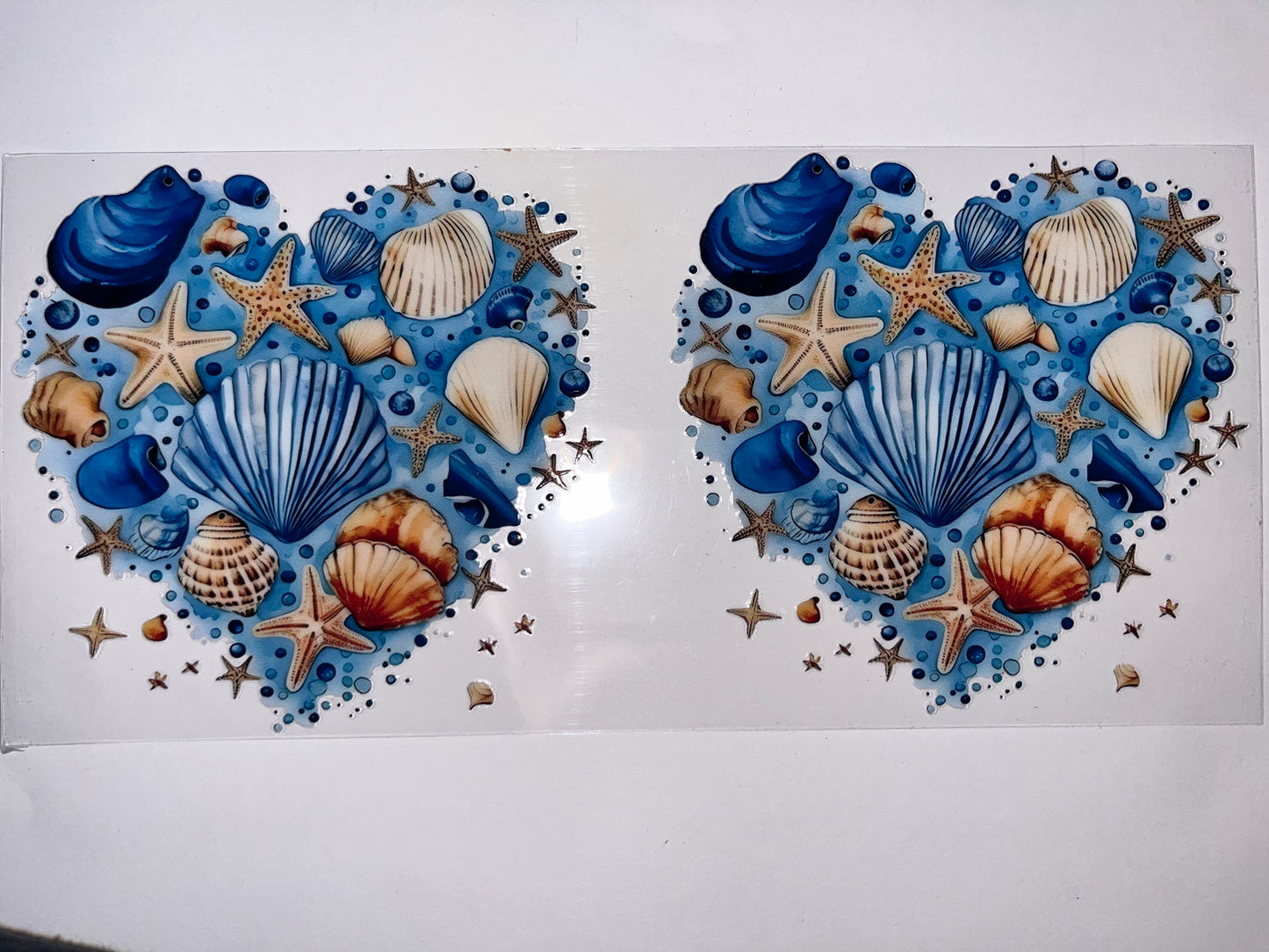 Blue Heart Seashells