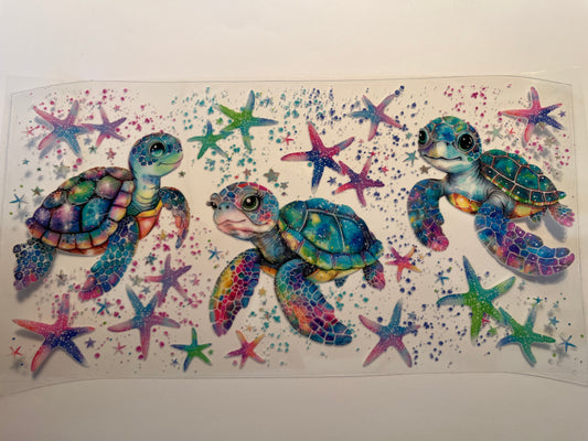 Sea Turtles & Starfish