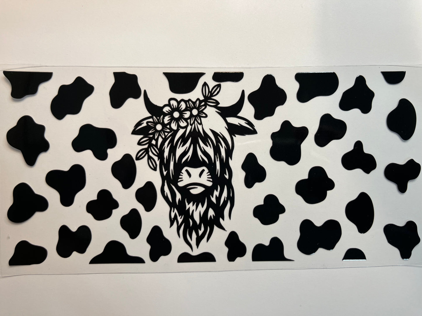Black & White Highland Cow